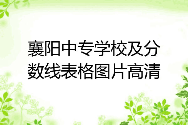 襄阳中专学校及分数线表格图片高清