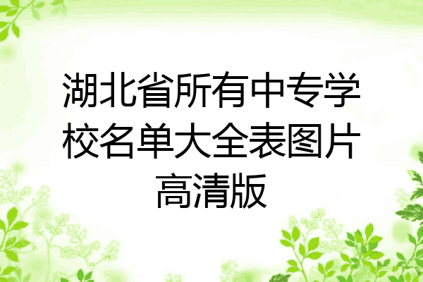 湖北省所有中专学校名单大全表图片高清版