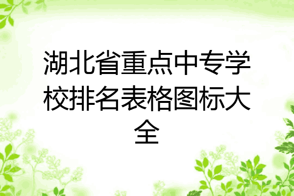 湖北省重点中专学校排名表格图标大全
