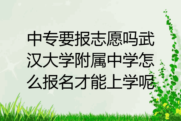 中专要报志愿吗武汉大学附属中学怎么报名才能上学呢