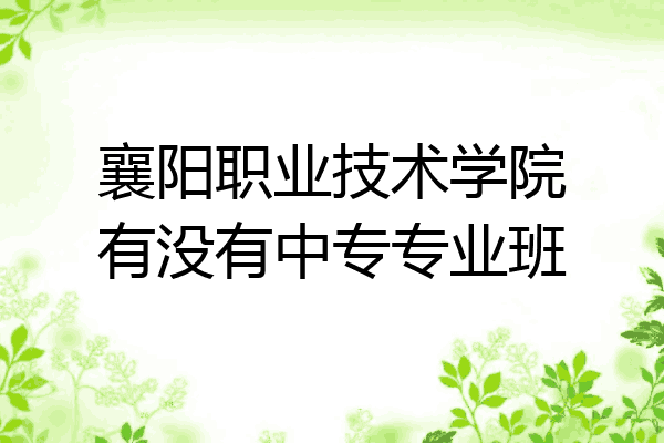 襄阳职业技术学院有没有中专专业班