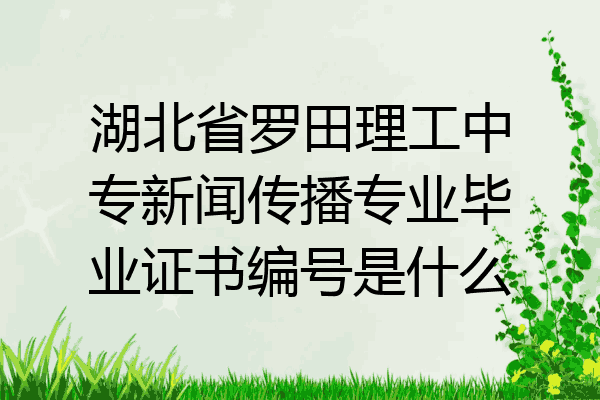 湖北省罗田理工中专新闻传播专业毕业证书编号是什么