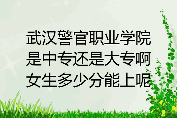 武汉警官职业学院是中专还是大专啊女生多少分能上呢