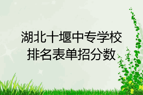 湖北十堰中专学校排名表单招分数