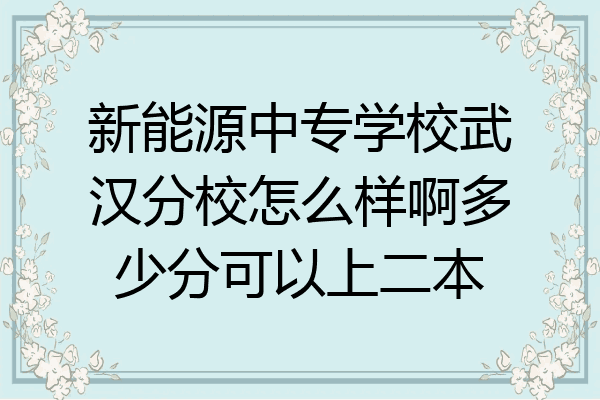 新能源中专学校武汉分校怎么样啊多少分可以上二本