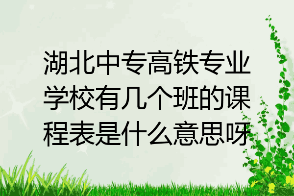湖北中专高铁专业学校有几个班的课程表是什么意思呀