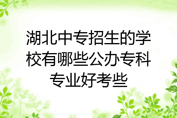 湖北中专招生的学校有哪些公办专科专业好考些