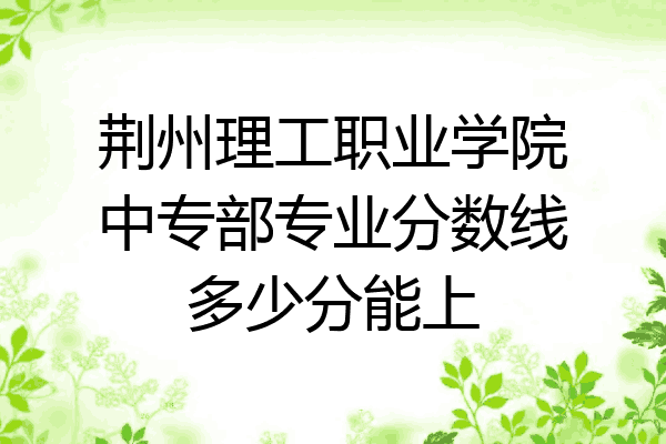 荆州理工职业学院中专部专业分数线多少分能上