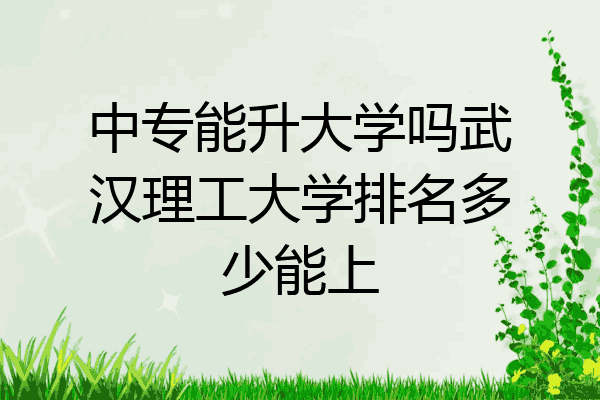 中专能升大学吗武汉理工大学排名多少能上