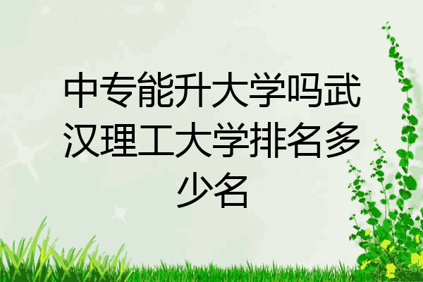 中专能升大学吗武汉理工大学排名多少名