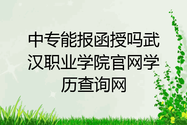 中专能报函授吗武汉职业学院官网学历查询网