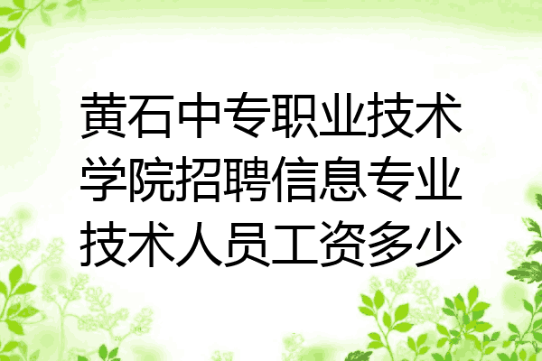 黄石中专职业技术学院招聘信息专业技术人员工资多少