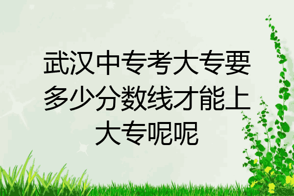 武汉中专考大专要多少分数线才能上大专呢呢