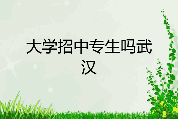 大学招中专生吗武汉