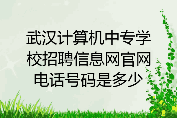 武汉计算机中专学校招聘信息网官网电话号码是多少