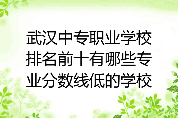 武汉中专职业学校排名前十有哪些专业分数线低的学校