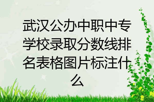 武汉公办中职中专学校录取分数线排名表格图片标注什么