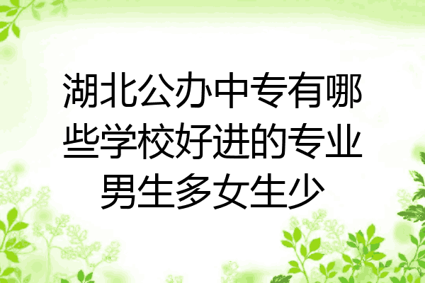 湖北公办中专有哪些学校好进的专业男生多女生少