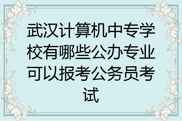 武汉计算机中专学校有哪些公办专业可以报考公务员考试
