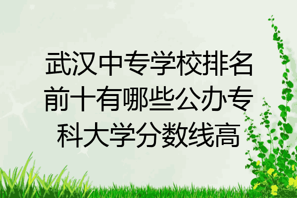 武汉中专学校排名前十有哪些公办专科大学分数线高