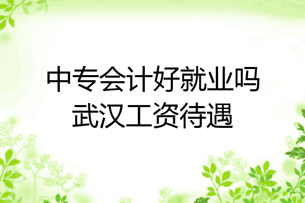 中专会计好就业吗武汉工资待遇