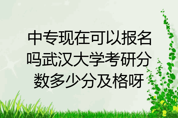 中专现在可以报名吗武汉大学考研分数多少分及格呀