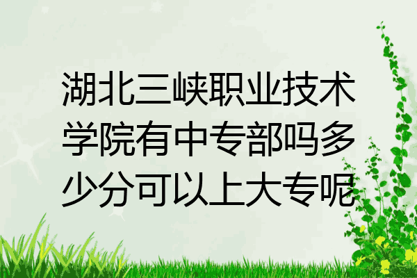 湖北三峡职业技术学院有中专部吗多少分可以上大专呢