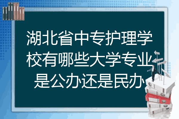 湖北省中专护理学校有哪些大学专业是公办还是民办