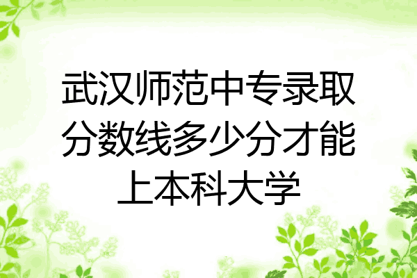 武汉师范中专录取分数线多少分才能上本科大学
