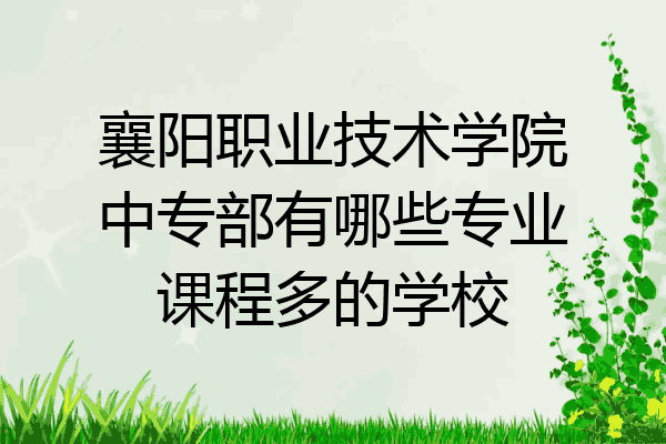 襄阳职业技术学院中专部有哪些专业课程多的学校