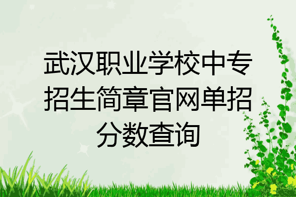 武汉职业学校中专招生简章官网单招分数查询