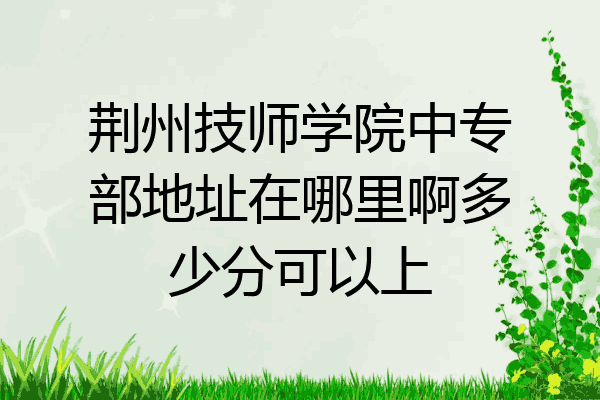 荆州技师学院中专部地址在哪里啊多少分可以上