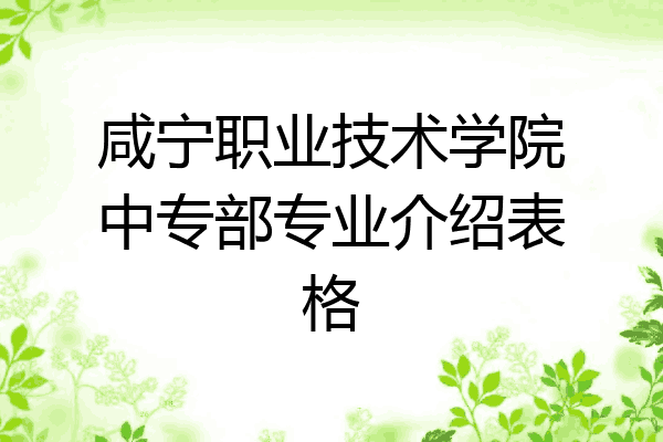 咸宁职业技术学院中专部专业介绍表格