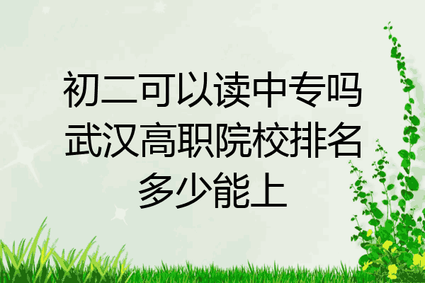 初二可以读中专吗武汉高职院校排名多少能上
