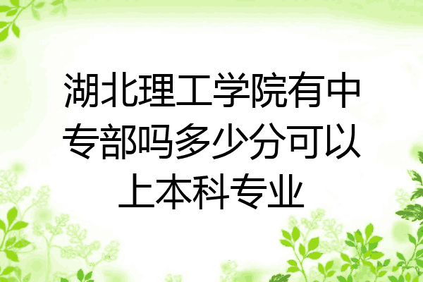 湖北理工学院有中专部吗多少分可以上本科专业