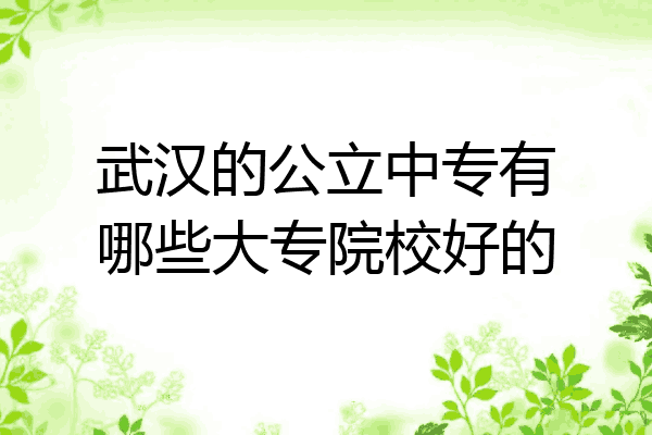 武汉的公立中专有哪些大专院校好的