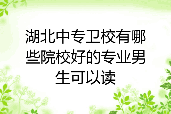 湖北中专卫校有哪些院校好的专业男生可以读