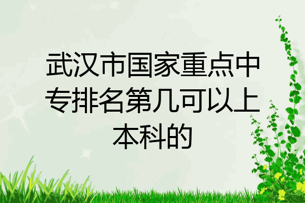 武汉市国家重点中专排名第几可以上本科的