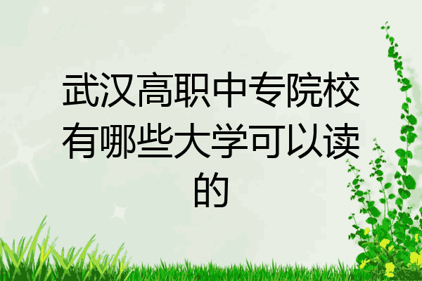 武汉高职中专院校有哪些大学可以读的