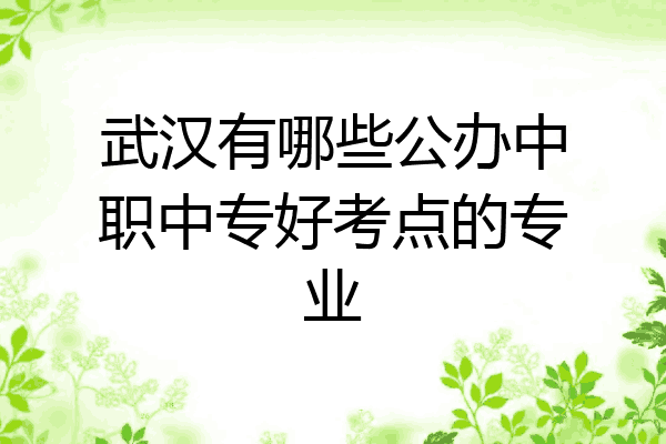 武汉有哪些公办中职中专好考点的专业