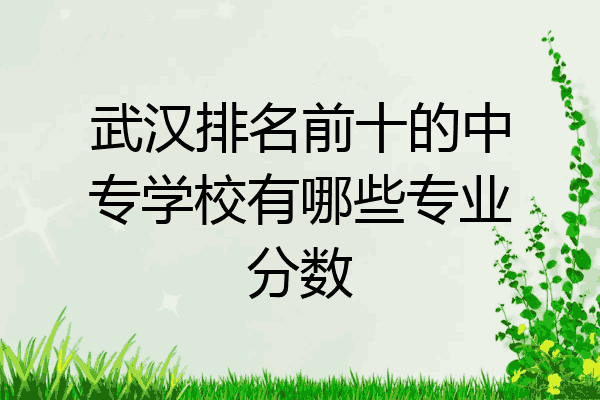 武汉排名前十的中专学校有哪些专业分数