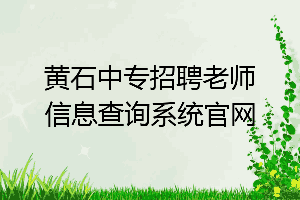黄石中专招聘老师信息查询系统官网