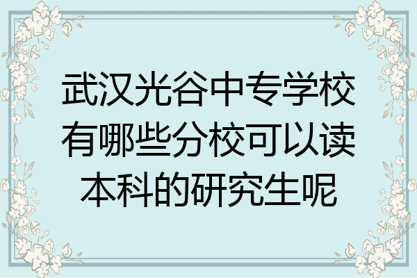 武汉光谷中专学校有哪些分校可以读本科的研究生呢