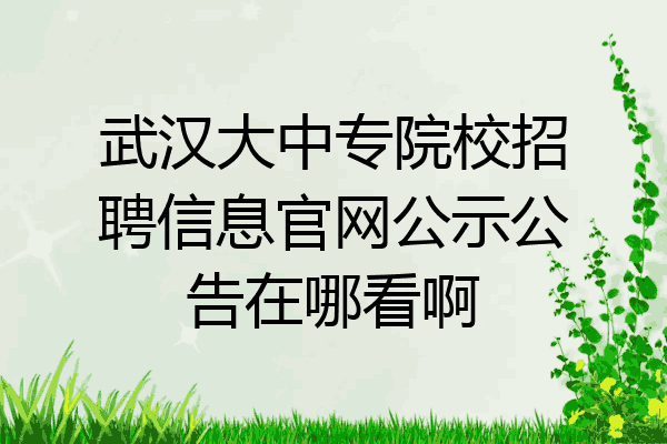 武汉大中专院校招聘信息官网公示公告在哪看啊