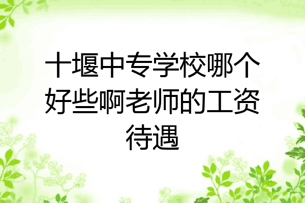 十堰中专学校哪个好些啊老师的工资待遇