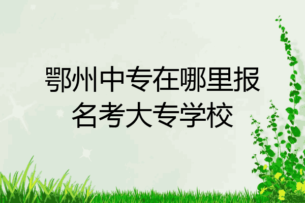 鄂州中专在哪里报名考大专学校