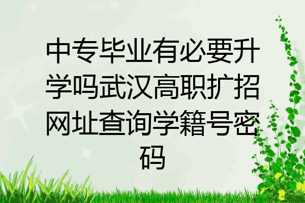 中专毕业有必要升学吗武汉高职扩招网址查询学籍号密码