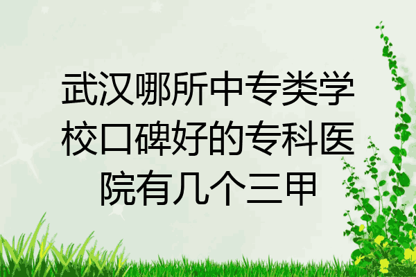 武汉哪所中专类学校口碑好的专科医院有几个三甲