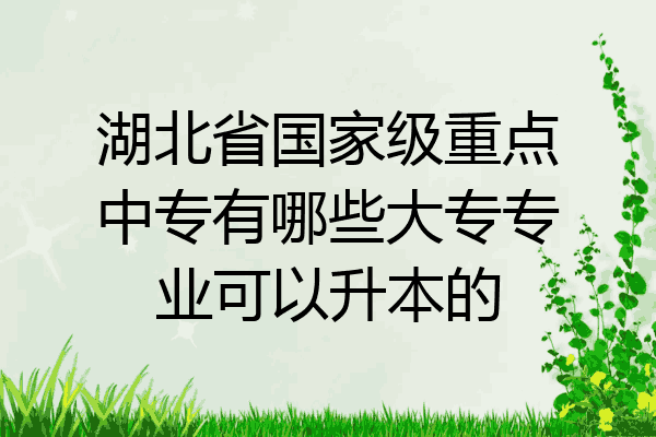 湖北省国家级重点中专有哪些大专专业可以升本的