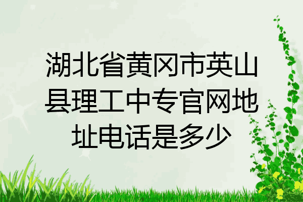 湖北省黄冈市英山县理工中专官网地址电话是多少